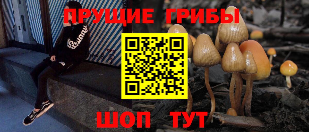 Галлюциногенные грибы Cubensis Сорочинск